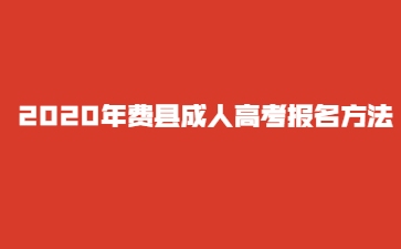 2020年费县成人高考报名方法