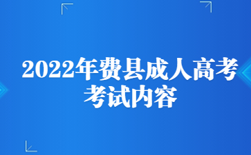 2022年费县成人高考考试内容