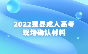 2022费县成人高考现场确认材料